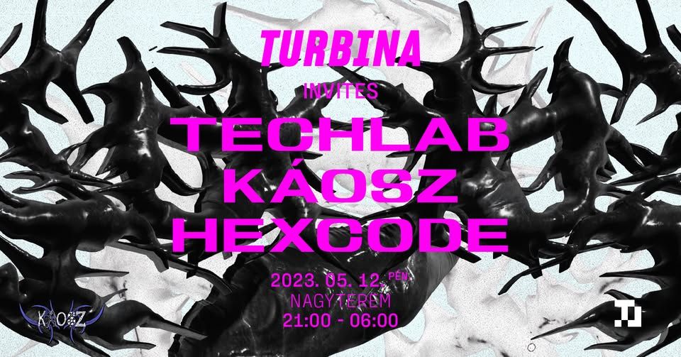 Turbina invites: Techlab, KÁOSZ, Hexcode