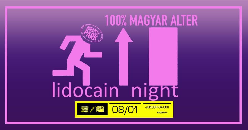 Lidocain Night ☾ Nights of Budapest Park
