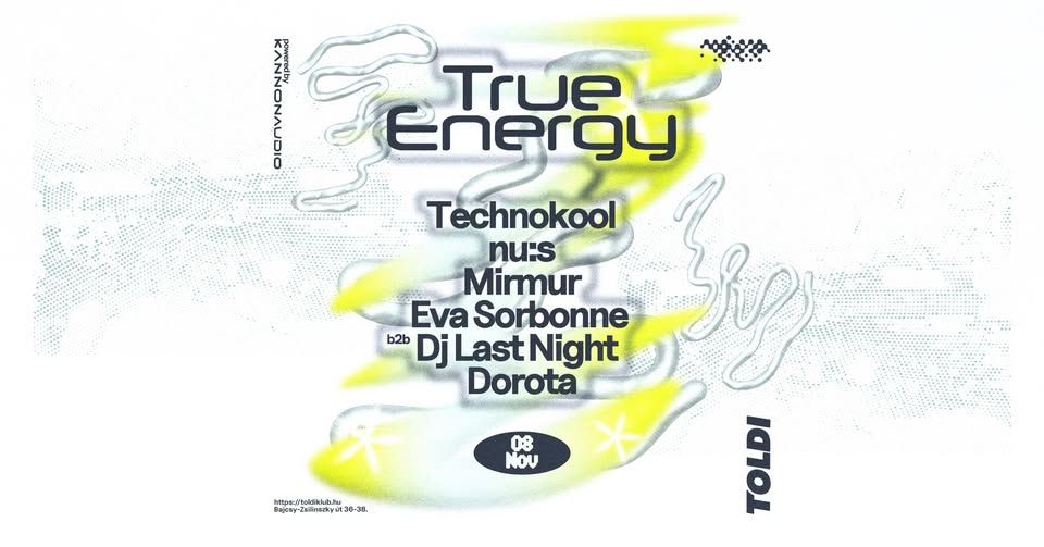 True Energy @ TOLDI
