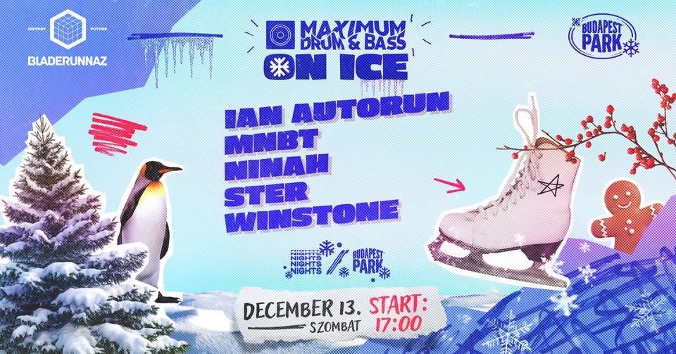 ☃️ Maximum Drum & Bass on Ice / KoriPark a Budapest Parkban ⛸️